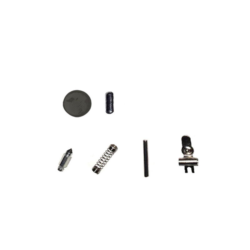 Outdoor Power Repair - Kit di Riparazione Carburatore per Attrezzature