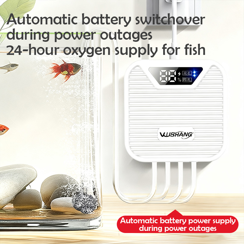 Pompa di Ossigeno per Acquario - Outdoor Usb Power Adapter recensione e prezzo